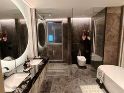 W RESIDENCES MARINA VIEW - SINGAPORE (D1), Apartment #516834291